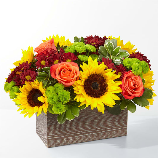 Happy Harvest Garden –  Rosasxyasmin, Phoenix AZ