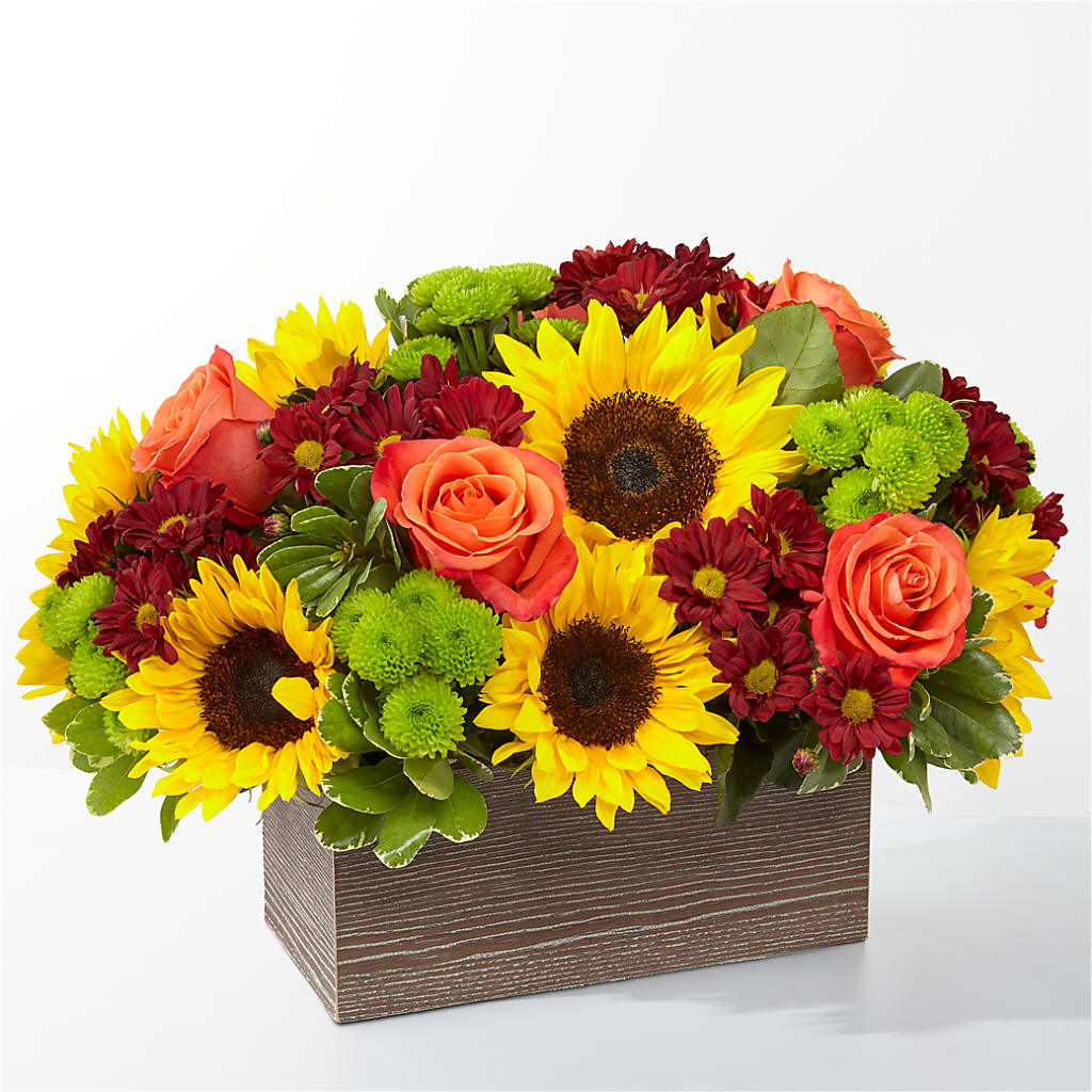 Happy Harvest Garden –  Rosasxyasmin, Phoenix AZ