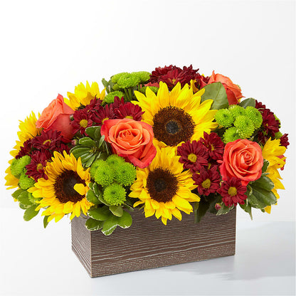 Happy Harvest Garden –  Rosasxyasmin, Phoenix AZ