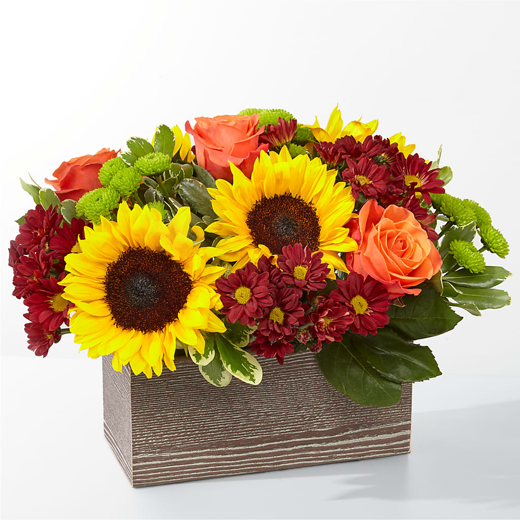 Happy Harvest Garden –  Rosasxyasmin, Phoenix AZ