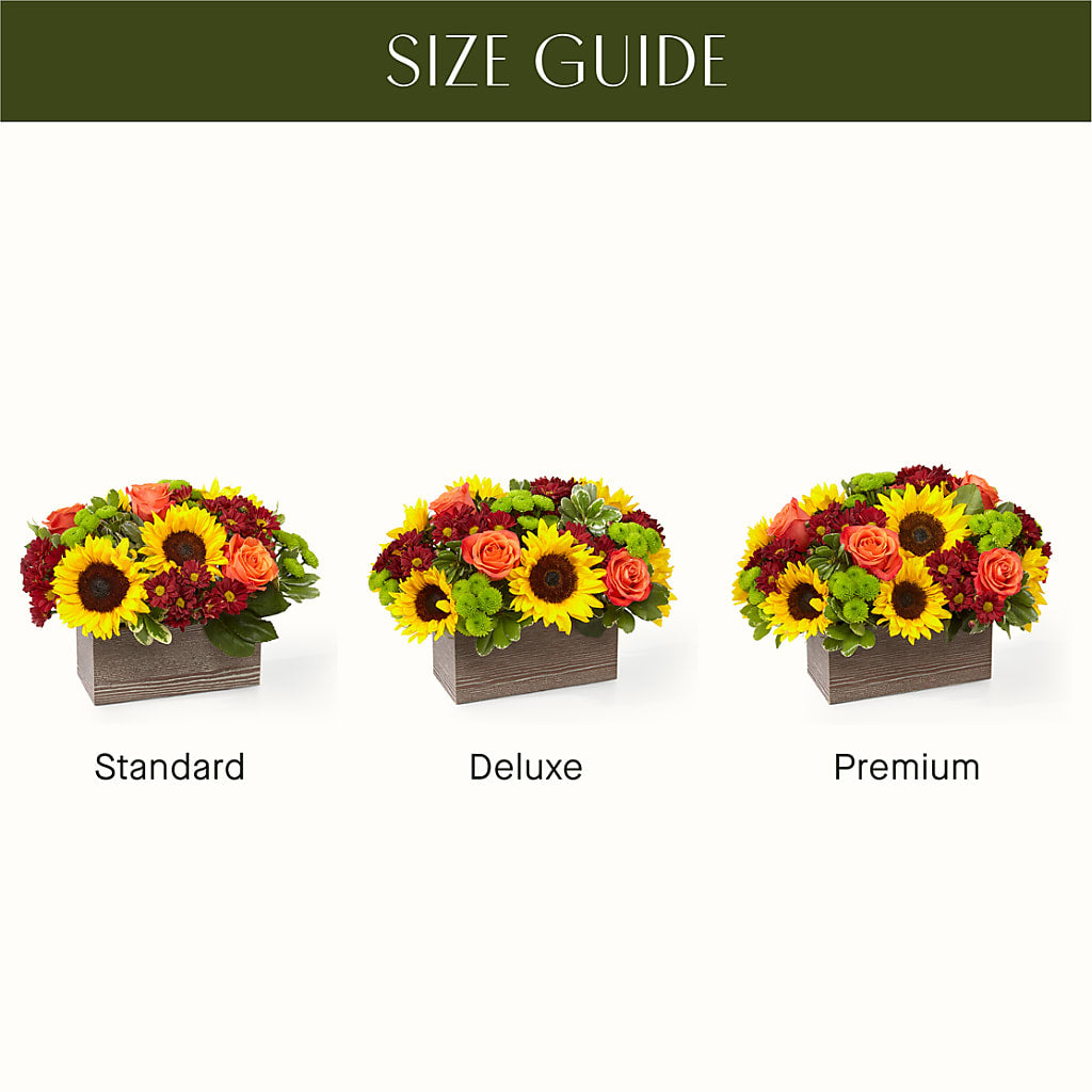 Happy Harvest Garden –  Rosasxyasmin, Peoria AZ