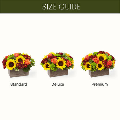 Happy Harvest Garden –  Rosasxyasmin, Peoria AZ