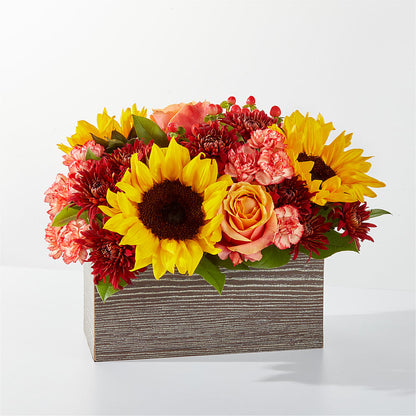 Fresh Cider Bouquet –  Rosasxyasmin, Phoenix AZ