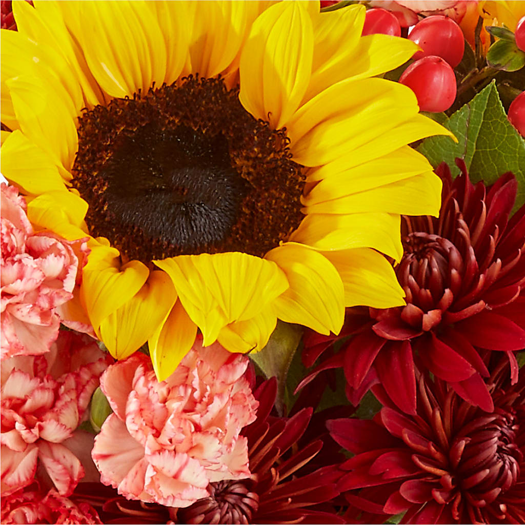 Fresh Cider Bouquet –  Rosasxyasmin, Peoria AZ