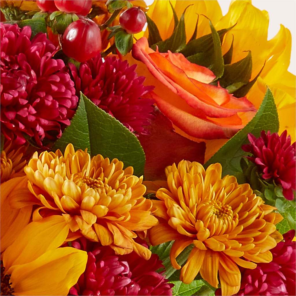 Sweater Season - A Florist Original –  Rosasxyasmin, Phoenix AZ