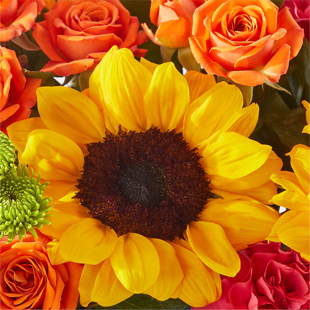 Sun-drenched Blooms Box Bouquet –  Rosasxyasmin, Peoria AZ