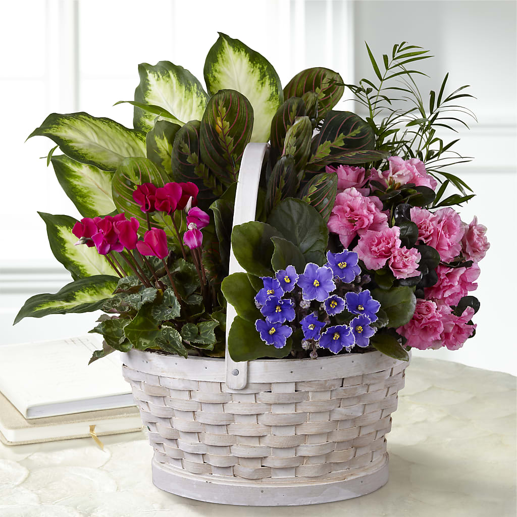 Peaceful Garden Planter –  Rosasxyasmin, Phoenix AZ