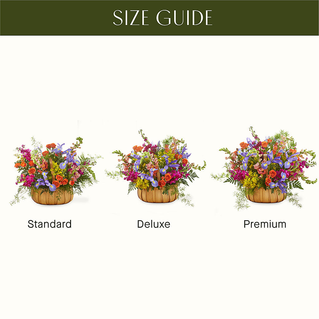 Garden of Life Basket –  Rosasxyasmin, Peoria AZ