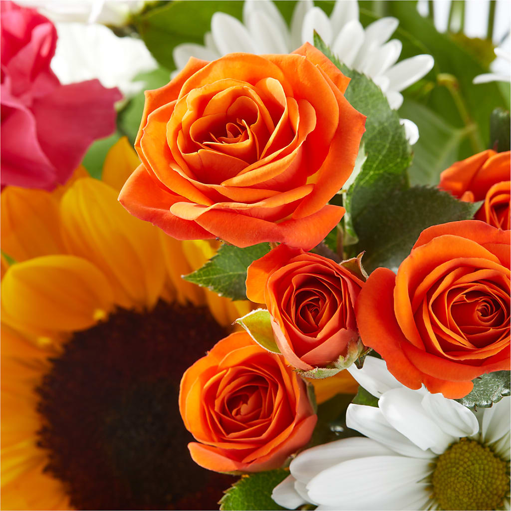 Sun-drenched Blooms Bouquet –  Rosasxyasmin, Peoria AZ