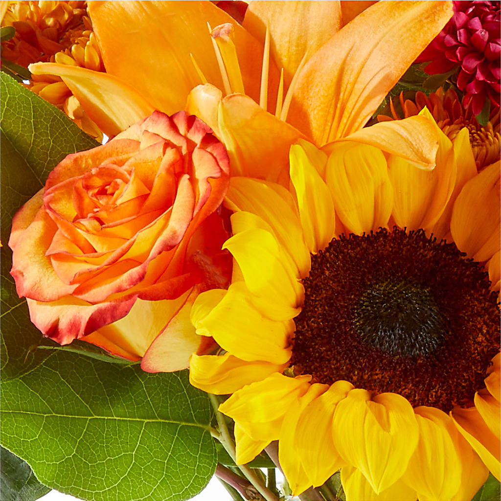 Fall Day Bouquet –  Rosasxyasmin, Peoria AZ