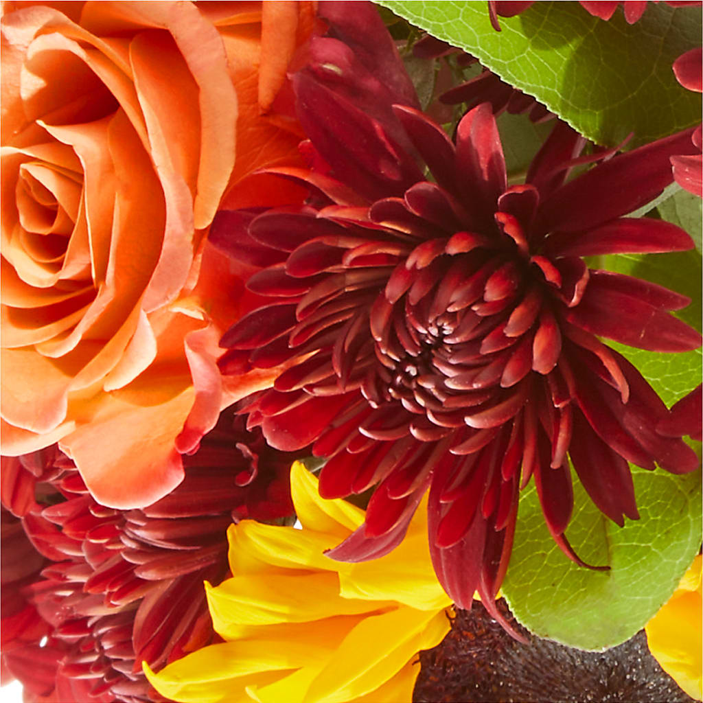 September Sunset Bouquet –  Rosasxyasmin, Peoria AZ