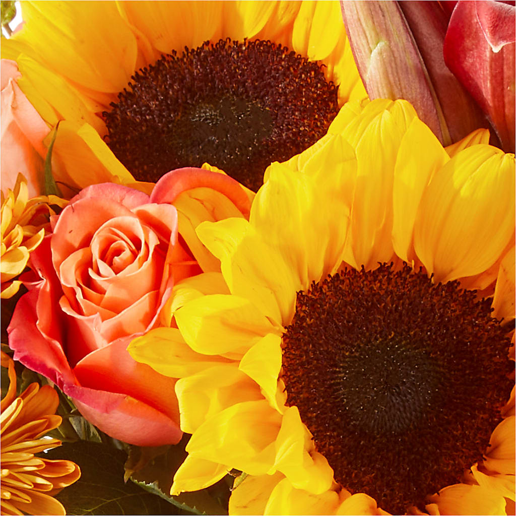 Acorn Lane Bouquet –  Rosasxyasmin, Peoria AZ