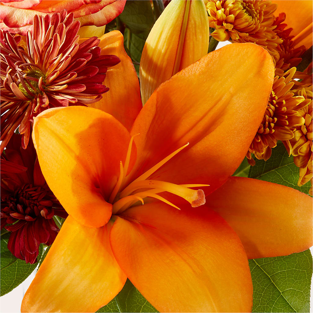 Autumnal Aroma Bouquet –  Rosasxyasmin, Peoria AZ