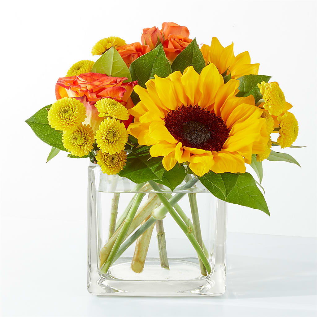 Picnic in the Park Bouquet –  Rosasxyasmin, Phoenix AZ
