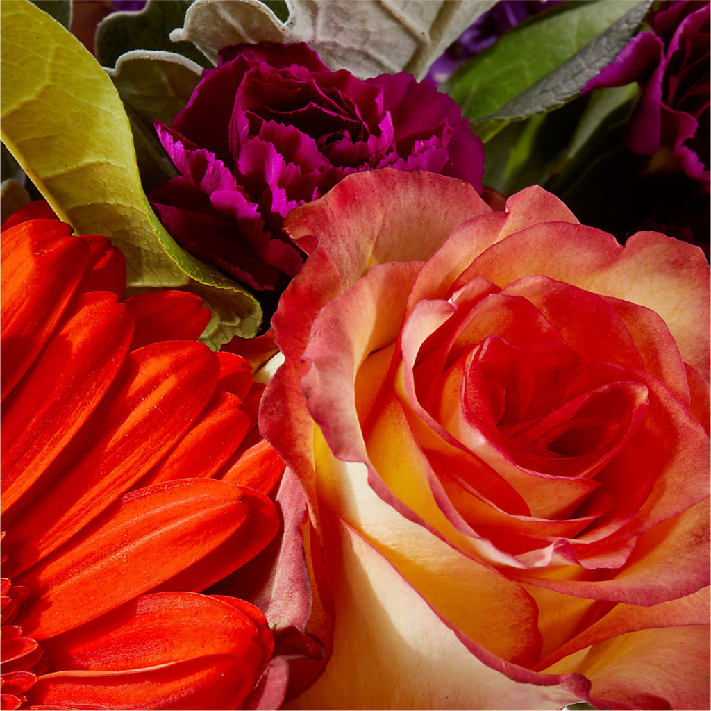 Sangria Bouquet –  Rosasxyasmin, Peoria AZ