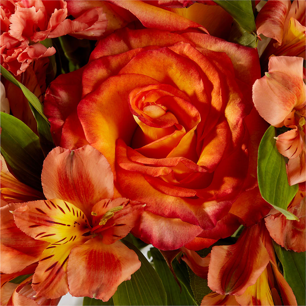 Apricot Glow Bouquet –  Rosasxyasmin, Peoria AZ