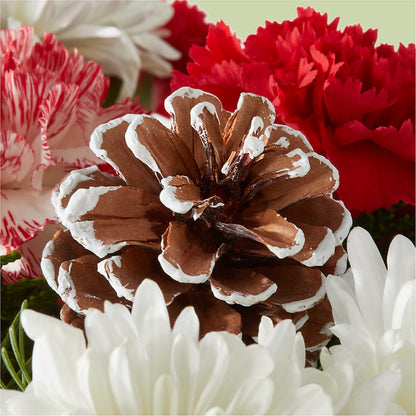 Candy Cane Lane Bouquet –  Rosasxyasmin, Peoria AZ