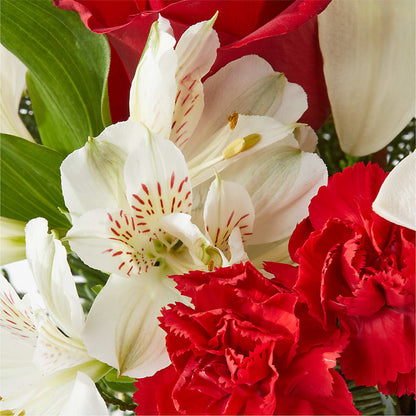 Holiday Season Bouquet –  Rosasxyasmin, Peoria AZ