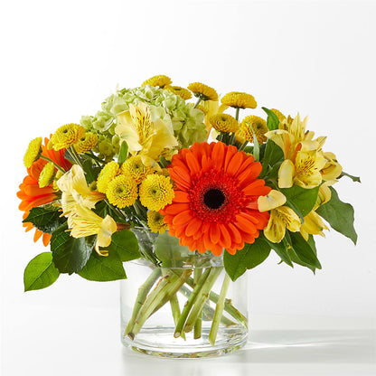 Autumn Sunshine Bouquet –  Rosasxyasmin, Peoria AZ