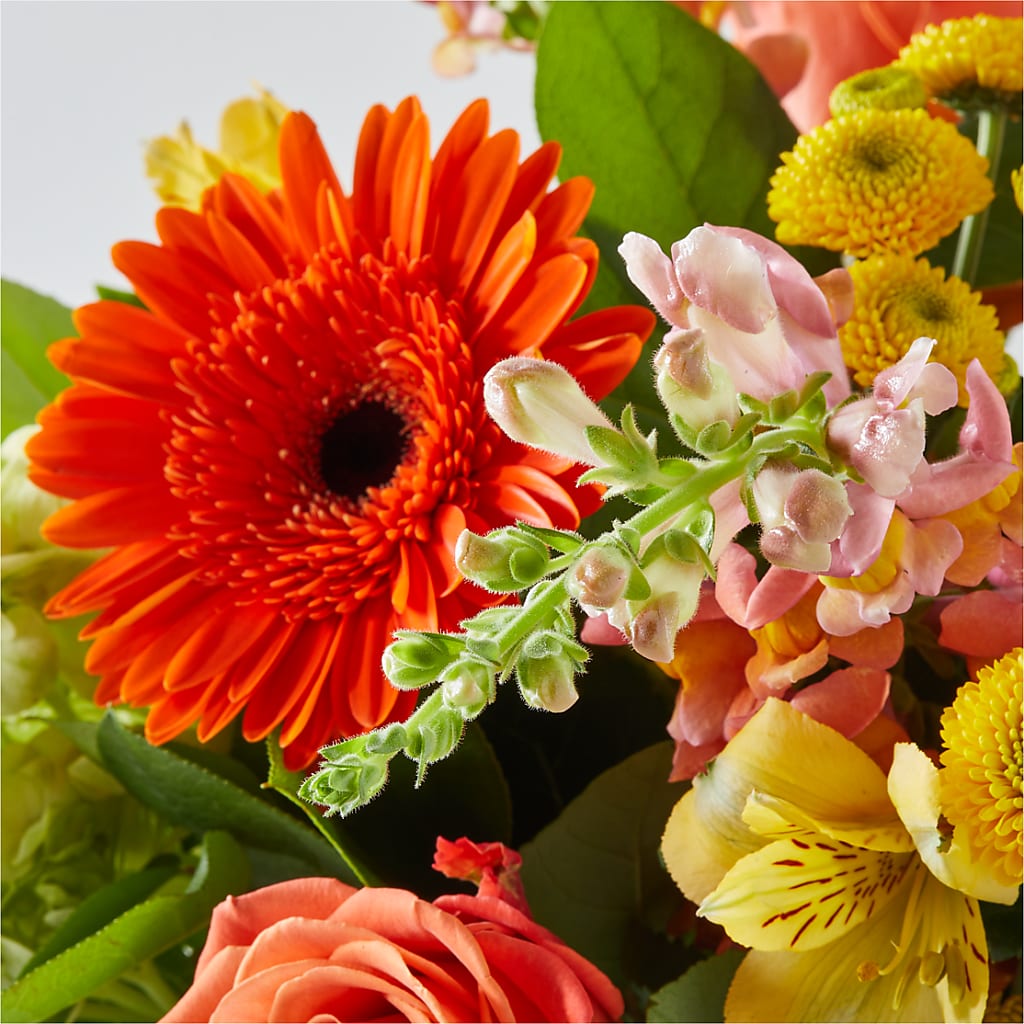 Autumn Sunshine Bouquet –  Rosasxyasmin, Peoria AZ