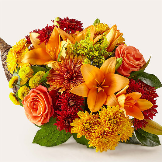 Feast of Color Cornucopia –  Rosasxyasmin, Phoenix AZ