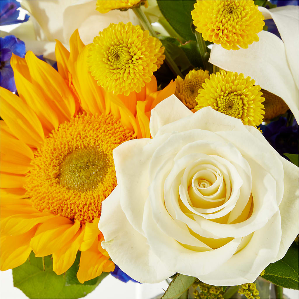 Stargazing Bouquet –  Rosasxyasmin, Peoria AZ