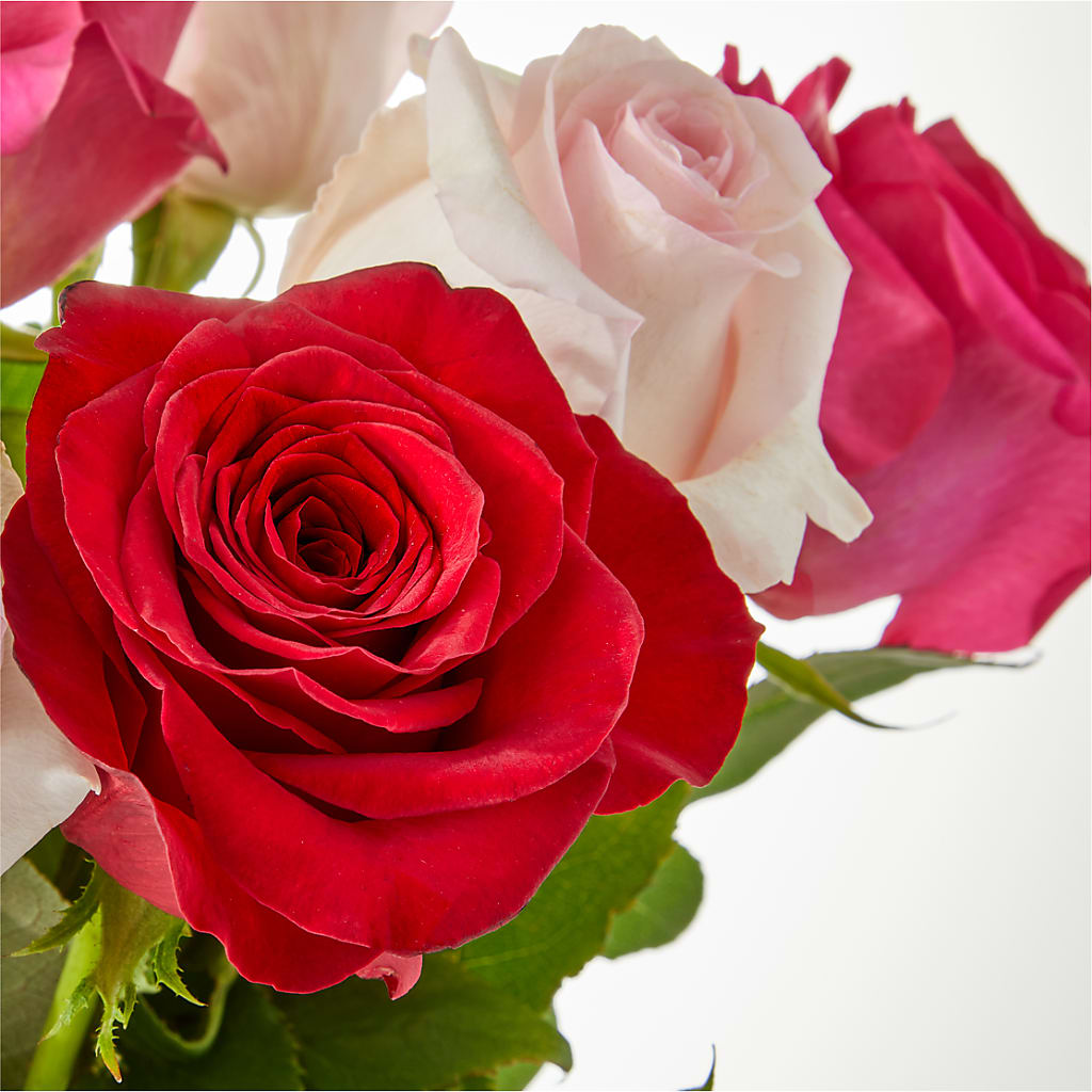 Charming Rose Bouquet –  Rosasxyasmin, Peoria AZ
