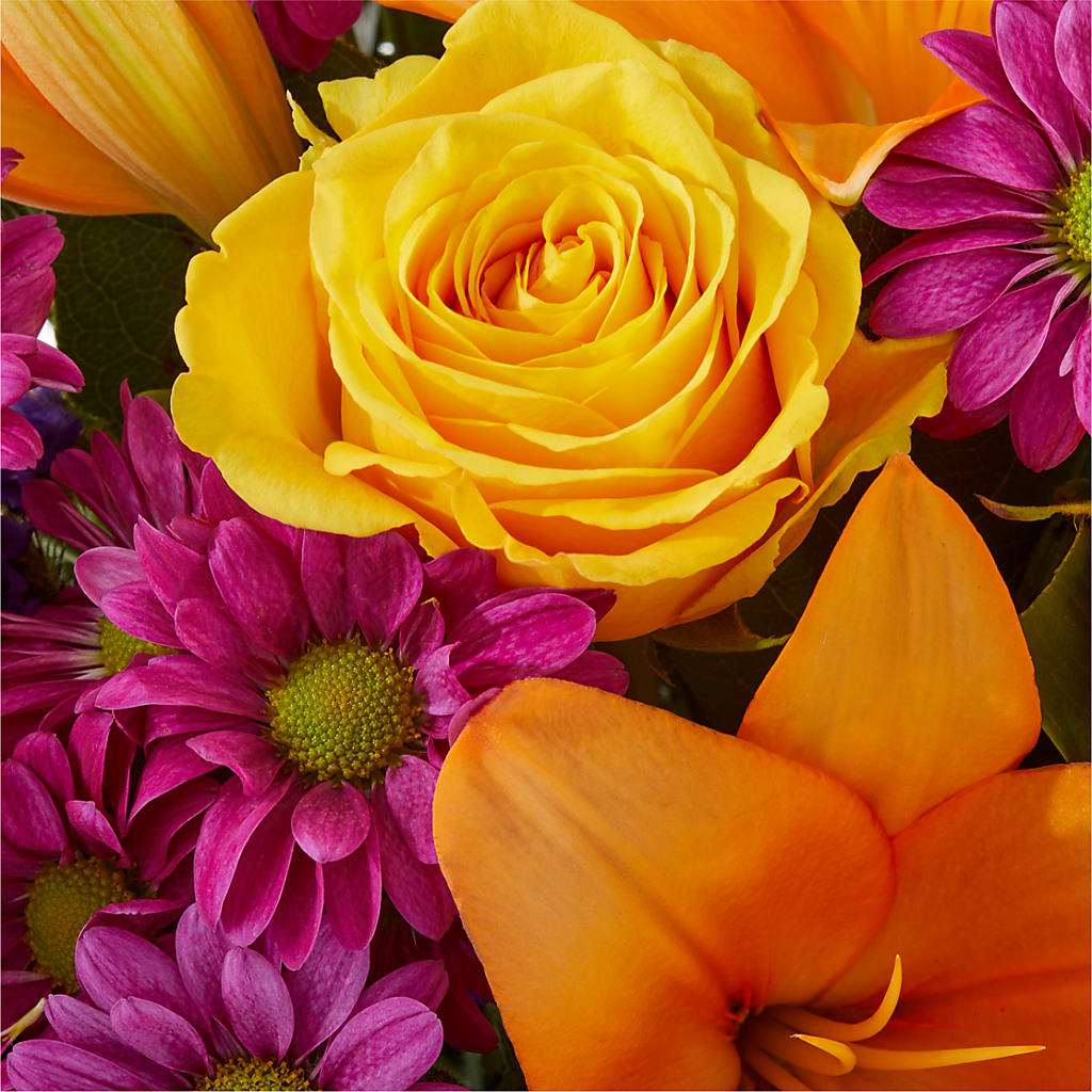 Colorful Visions Bouquet –  Rosasxyasmin, Peoria AZ