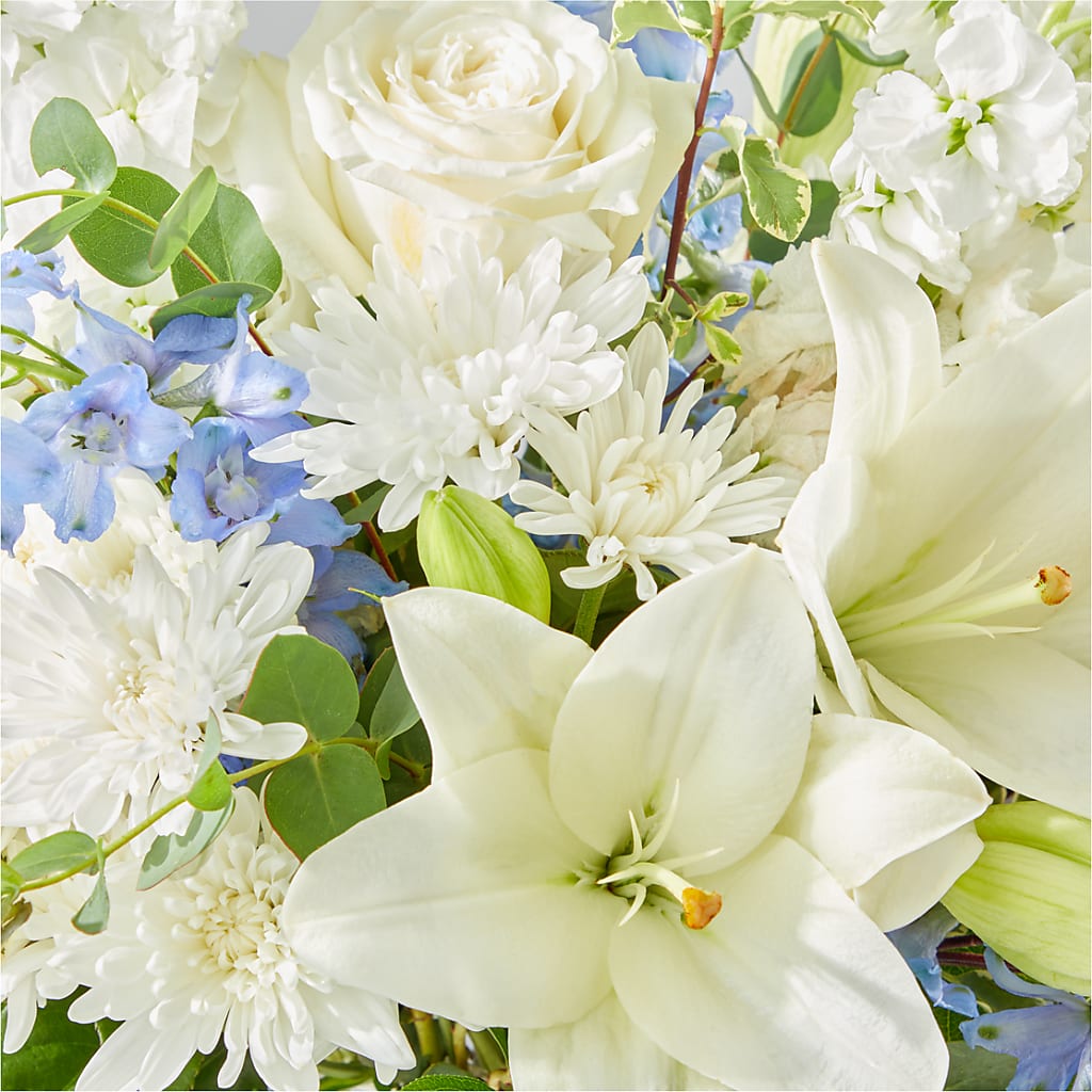 Peace of Mind Bouquet –  Rosasxyasmin, Peoria AZ