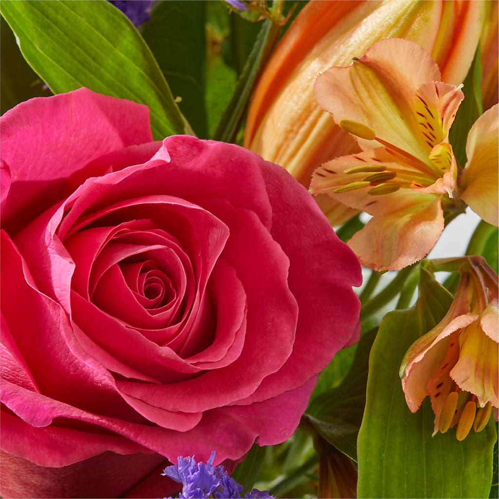 Joyful Bouquet –  Rosasxyasmin, Peoria AZ