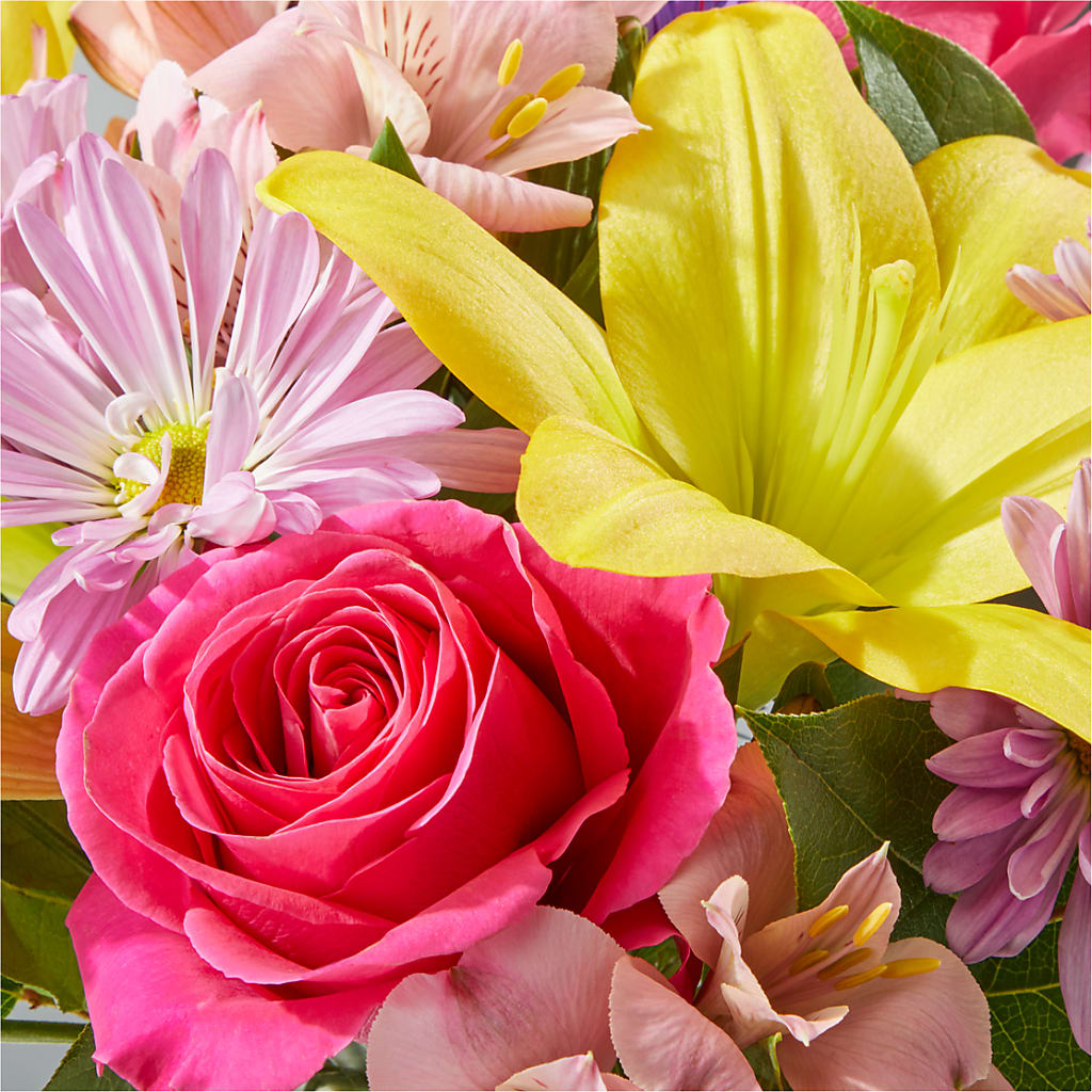 Sprinkles Bouquet –  Rosasxyasmin, Peoria AZ