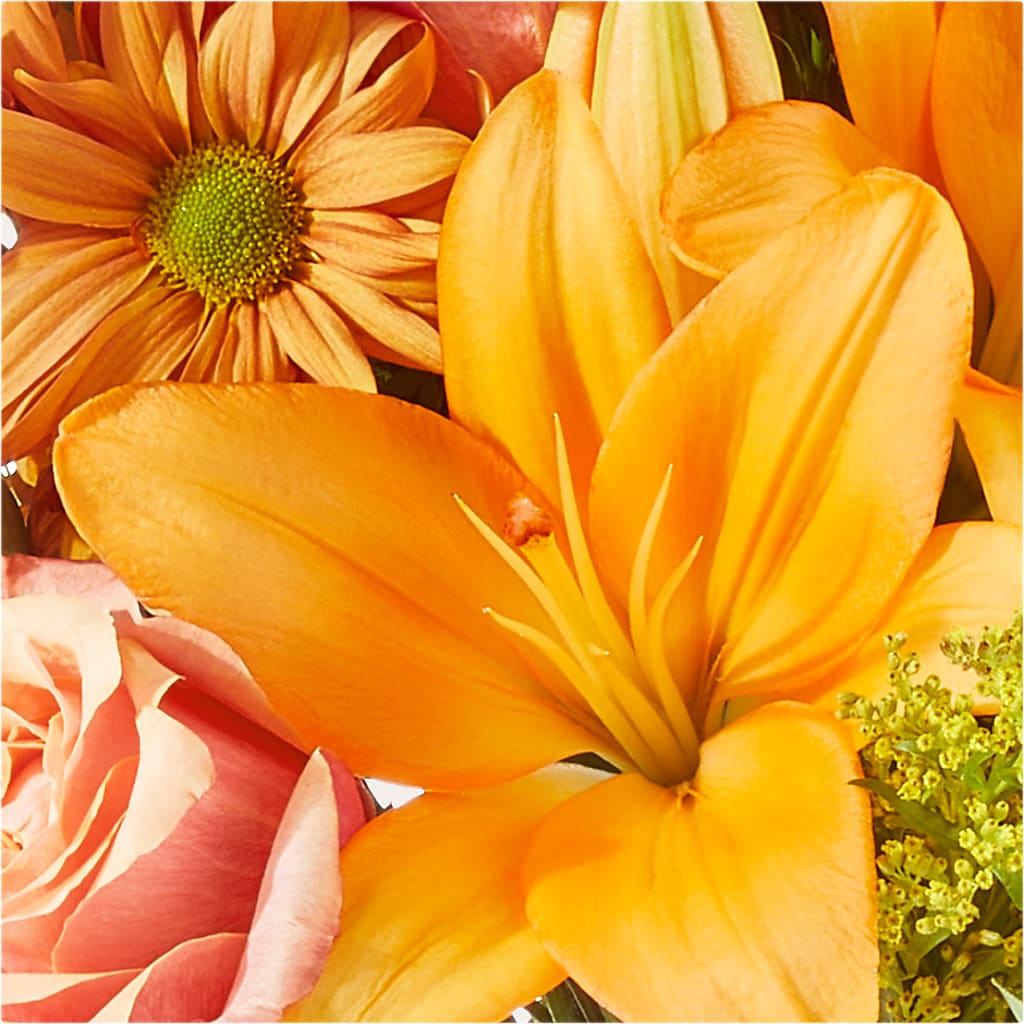 Harvest Hayride Bouquet –  Rosasxyasmin, Peoria AZ
