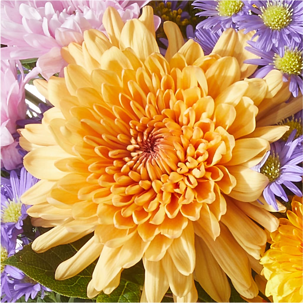 Countryside Bouquet –  Rosasxyasmin, Peoria AZ