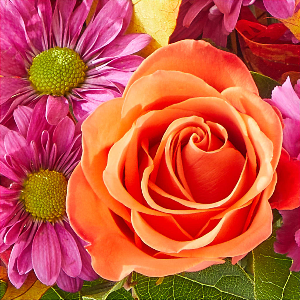 Mum's the Word Bouquet –  Rosasxyasmin, Peoria AZ