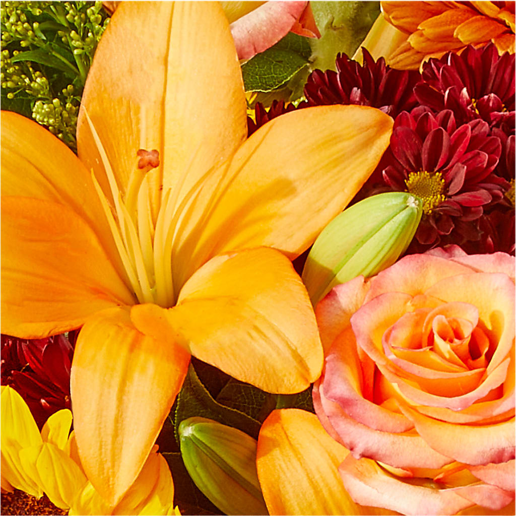 Seasons Change Bouquet –  Rosasxyasmin, Peoria AZ