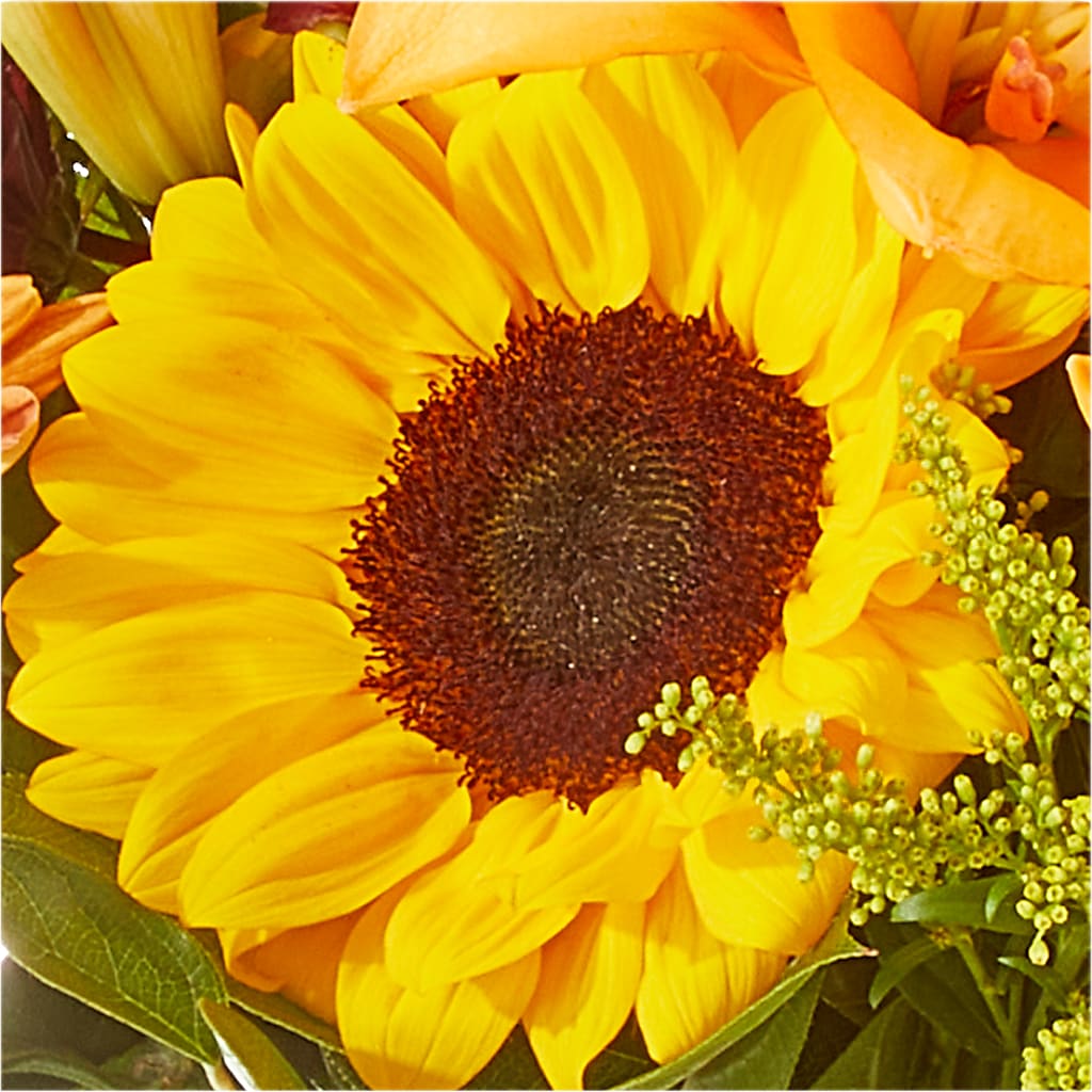 Seasons Change Bouquet –  Rosasxyasmin, Peoria AZ