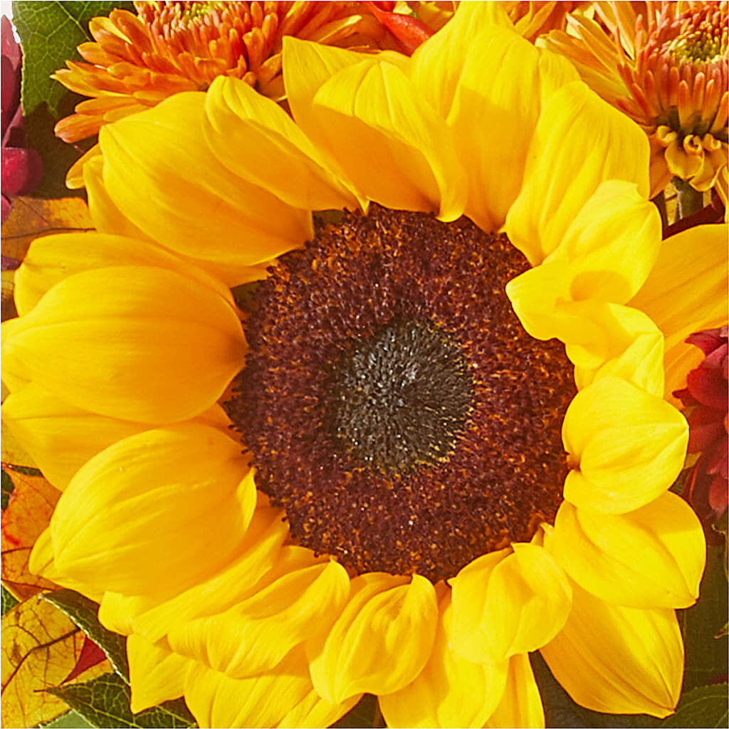 Sunny Side Bouquet –  Rosasxyasmin, Peoria AZ