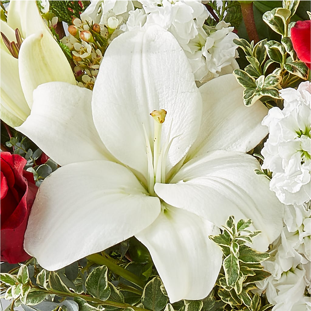 Twinkle Lights Bouquet –  Rosasxyasmin, Peoria AZ
