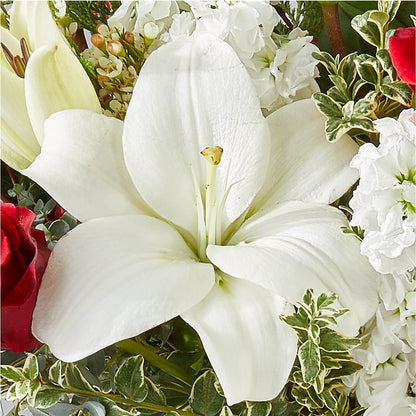 Twinkle Lights Bouquet –  Rosasxyasmin, Peoria AZ
