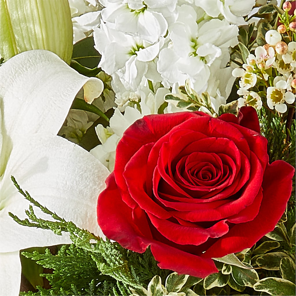 Twinkle Lights Bouquet –  Rosasxyasmin, Peoria AZ