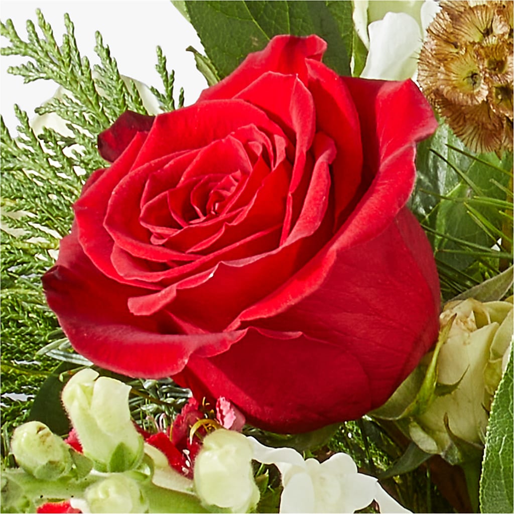 Deck the Halls Bouquet –  Rosasxyasmin, Peoria AZ