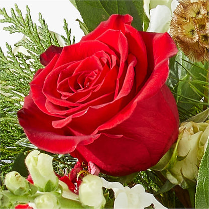 Deck the Halls Bouquet –  Rosasxyasmin, Peoria AZ