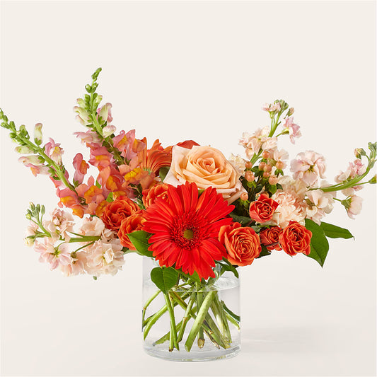 Paloma Please Bouquet –  Rosasxyasmin, Phoenix AZ