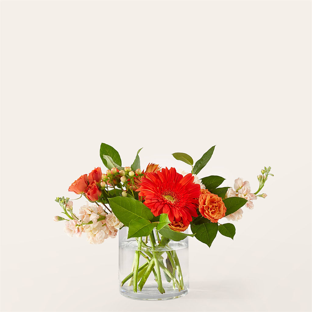 Paloma Please Bouquet –  Rosasxyasmin, Phoenix AZ