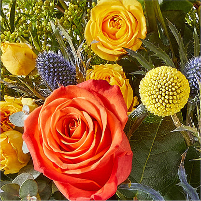 Disco Bouquet –  Rosasxyasmin, Peoria AZ