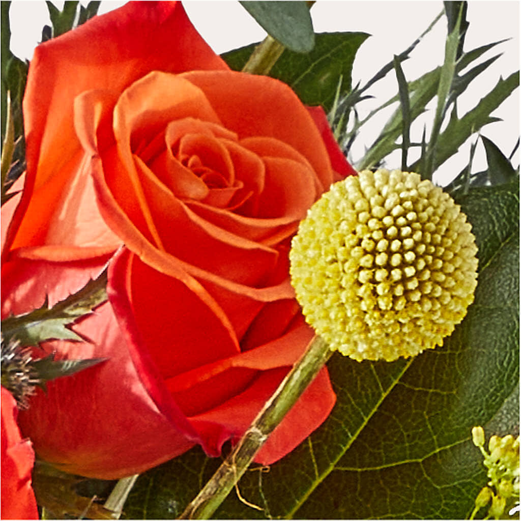 Disco Bouquet –  Rosasxyasmin, Peoria AZ