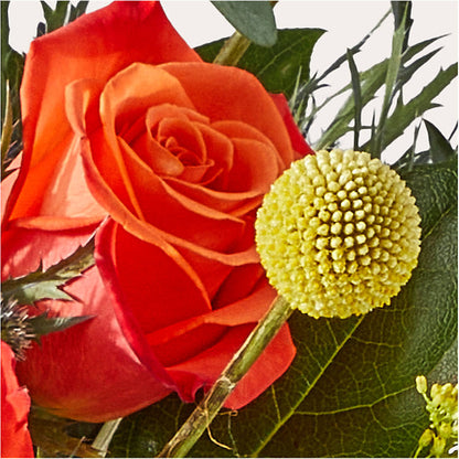 Disco Bouquet –  Rosasxyasmin, Peoria AZ