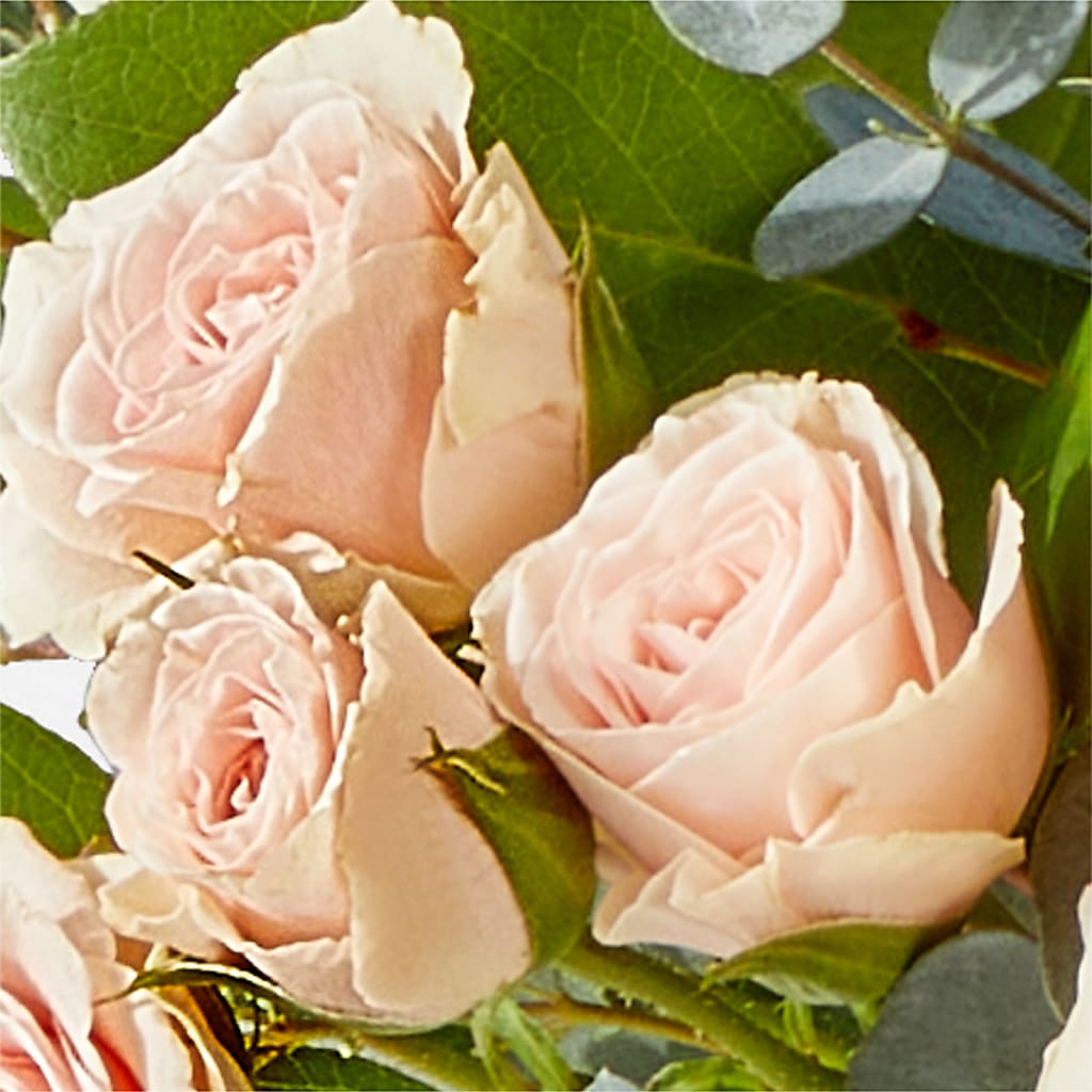 Inspired Bouquet –  Rosasxyasmin, Peoria AZ