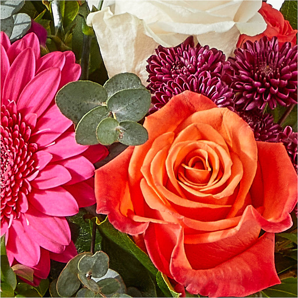 Smell the Roses Bouquet –  Rosasxyasmin, Peoria AZ