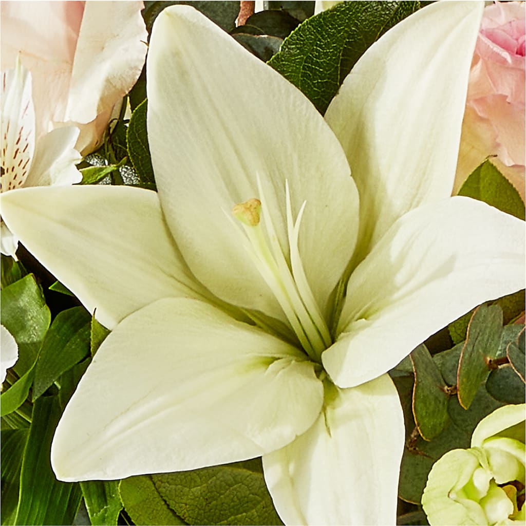 Ballet Slippers Bouquet –  Rosasxyasmin, Peoria AZ
